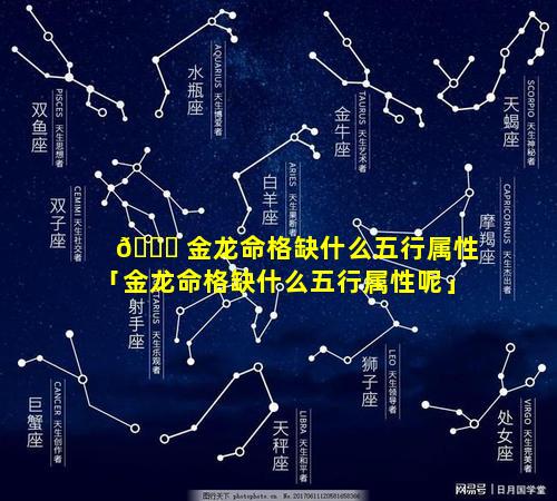 🐕 金龙命格缺什么五行属性「金龙命格缺什么五行属性呢」